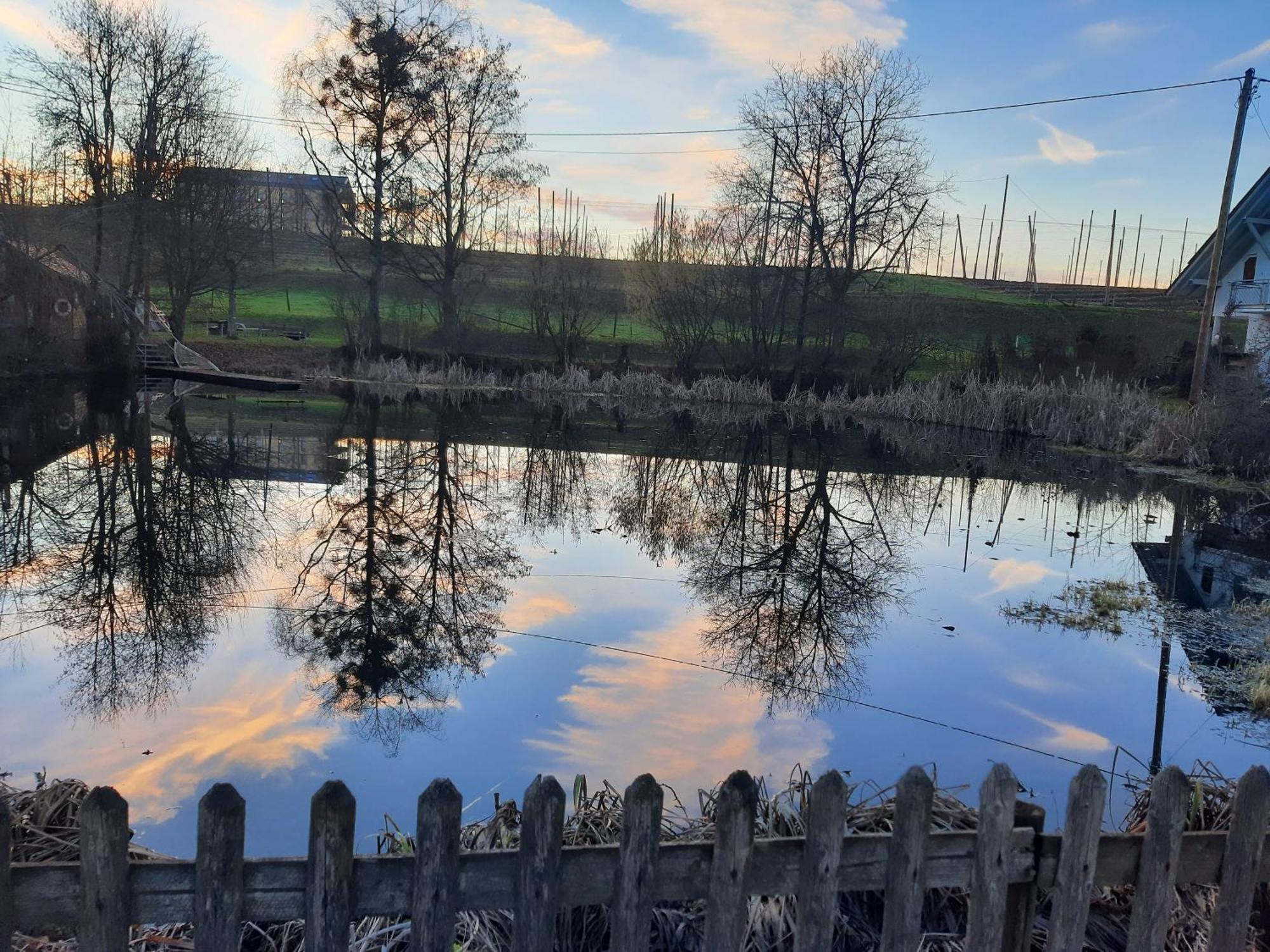 Am Dorfweiher Tettnang Kültér fotó